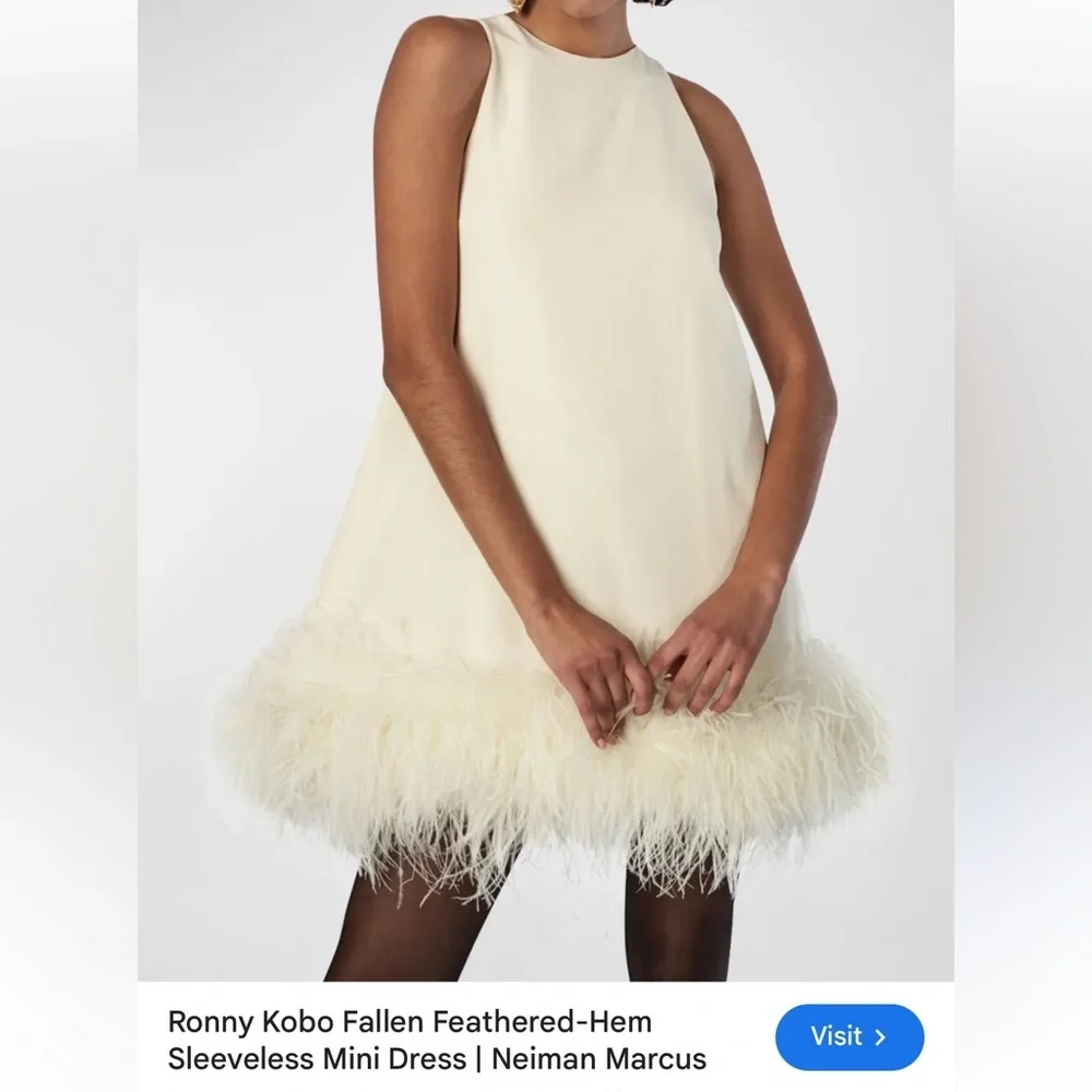 Ronny Kobo Fallen Feathered-Hem Mini Dress – Ivory (XS) - Picture 2 of 12